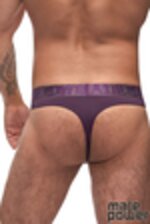 Picture of MP435-249 - Eggplant