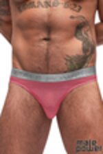 Picture of MP442-252 - Salmon