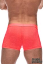 Picture of MP145-263 - Coral