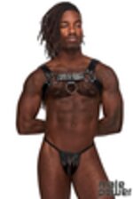 Picture of MP590-266 - Black