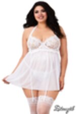 Picture of DG11456 - White