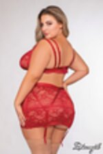 Picture of DG12465 - Garnet