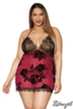 Picture of DG12638 - Burgundy