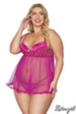 Picture of DG12656 - Azalea