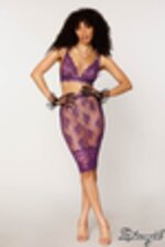 Picture of DG12776 - Eggplant