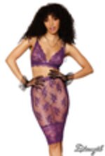 Picture of DG12776 - Eggplant