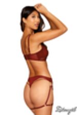 Picture of DG13378 - Burgundy